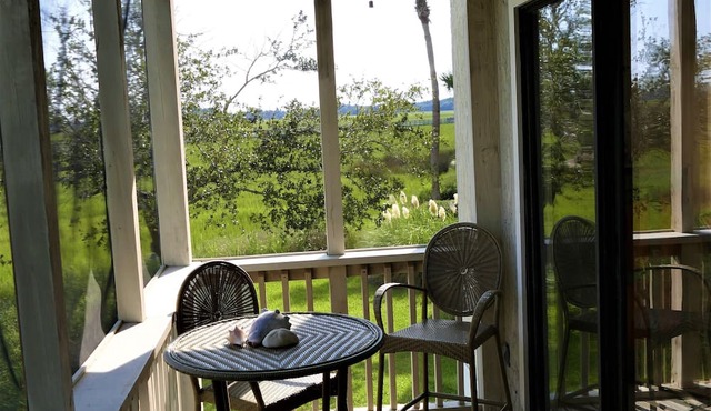MARSH/SUNSET VIEWS-DOCK/POOL-RENOVATED
